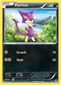 Purrloin Common card from BW Trainer Kit Zoroark
