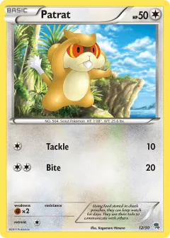 Patrat Common card from BW Trainer Kit Zoroark