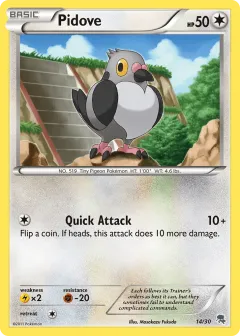 Pidove Common card from BW Trainer Kit Zoroark