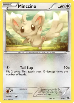 Minccino Common card from BW Trainer Kit Zoroark