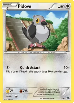 Pidove Common card from BW Trainer Kit Zoroark