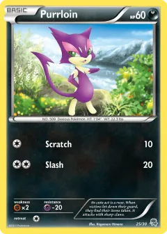Purrloin Common card from BW Trainer Kit Zoroark