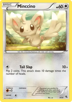Minccino Common card from BW Trainer Kit Zoroark