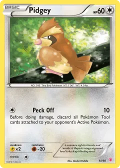 Pidgey Common card from XY Trainer Kit Wigglytuff