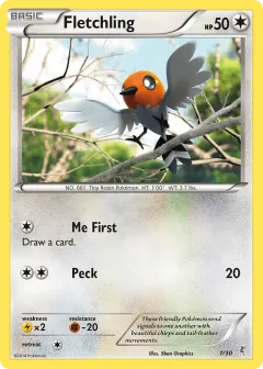 Fletchling Common card from XY Trainer Kit Bisharp