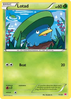 Lotad Common card from XY Trainer Kit Latias