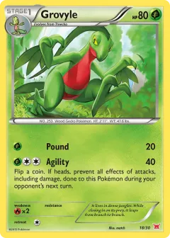 Grovyle Common card from XY Trainer Kit Latias