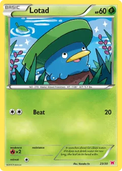 Lotad Common card from XY Trainer Kit Latias