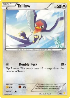 Taillow Common card from XY Trainer Kit Pikachu Libre