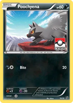Poochyena Promo and other card from Kalos Starter Set
