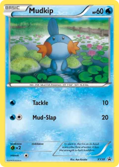 Mudkip Promo card from XY Black Star Promos