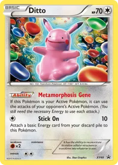 Ditto Promo card from XY Black Star Promos