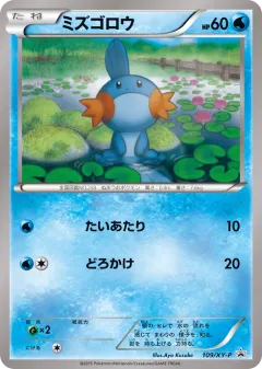 Mudkip Promo card from XY Promos